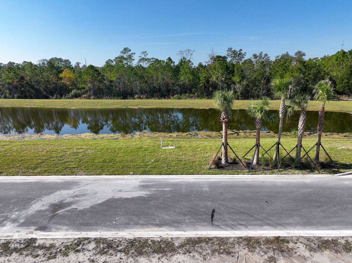 25-NOV-20-002976-CCp