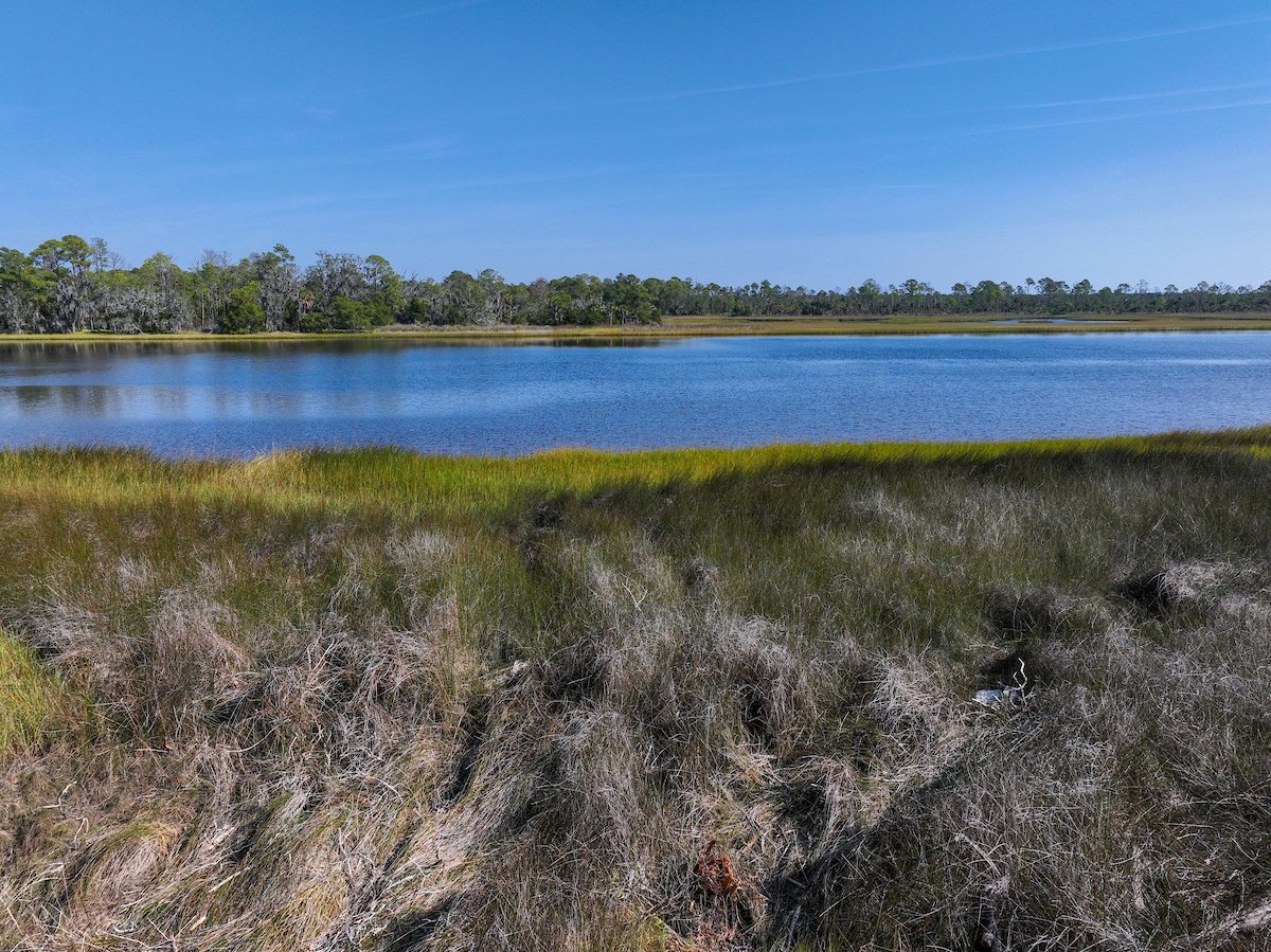 25-NOV-20-003100-CCp (1)