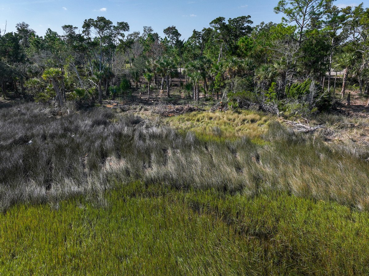 25-NOV-20-003156-CCp