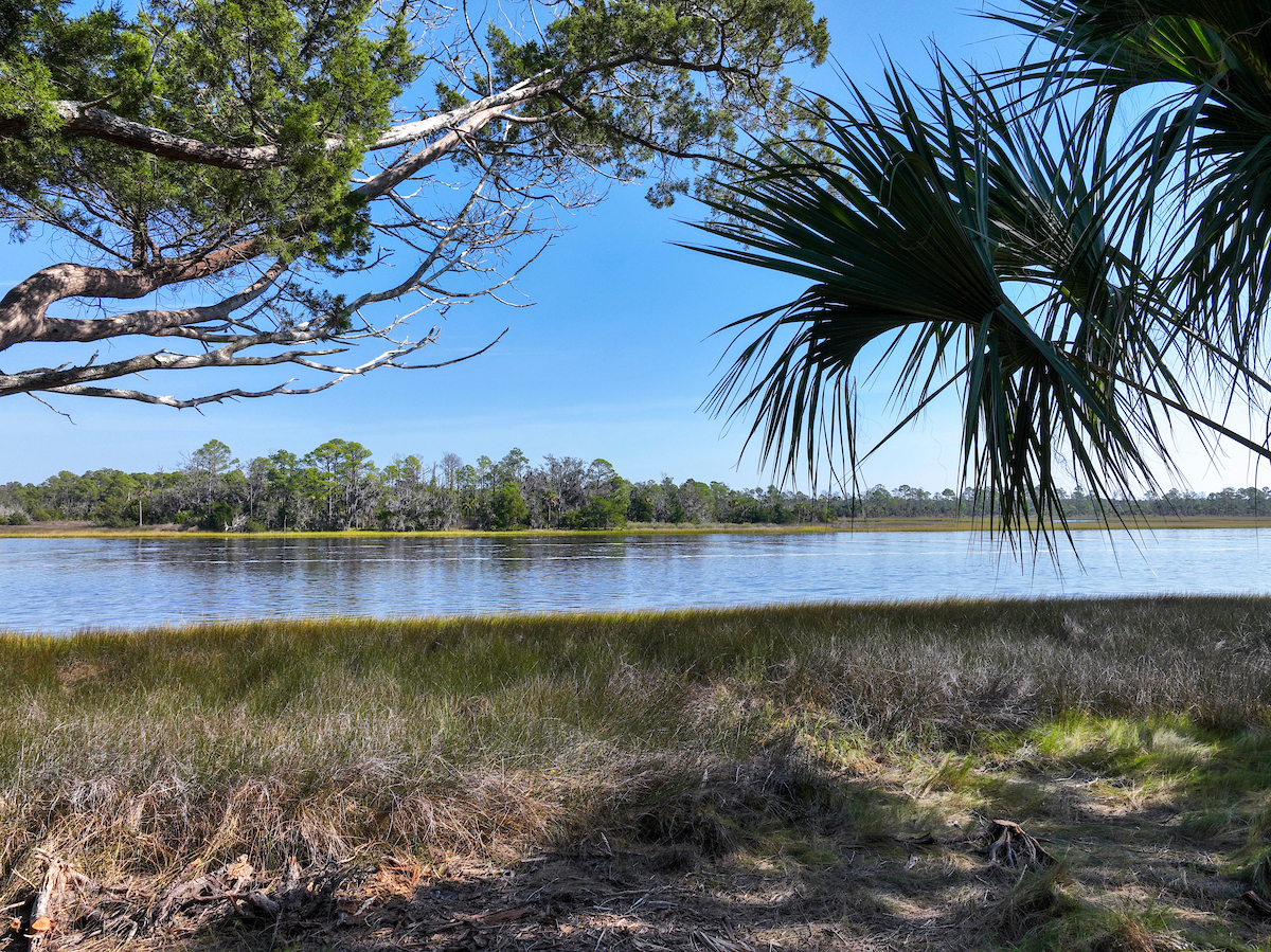 25-NOV-20-002991-CCp (1)