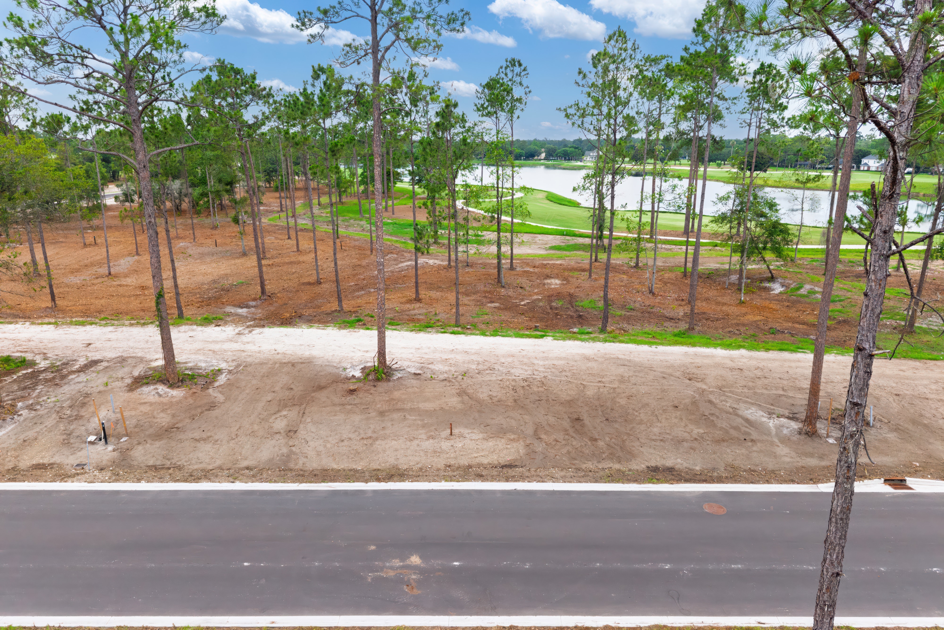 lot 54 image 3