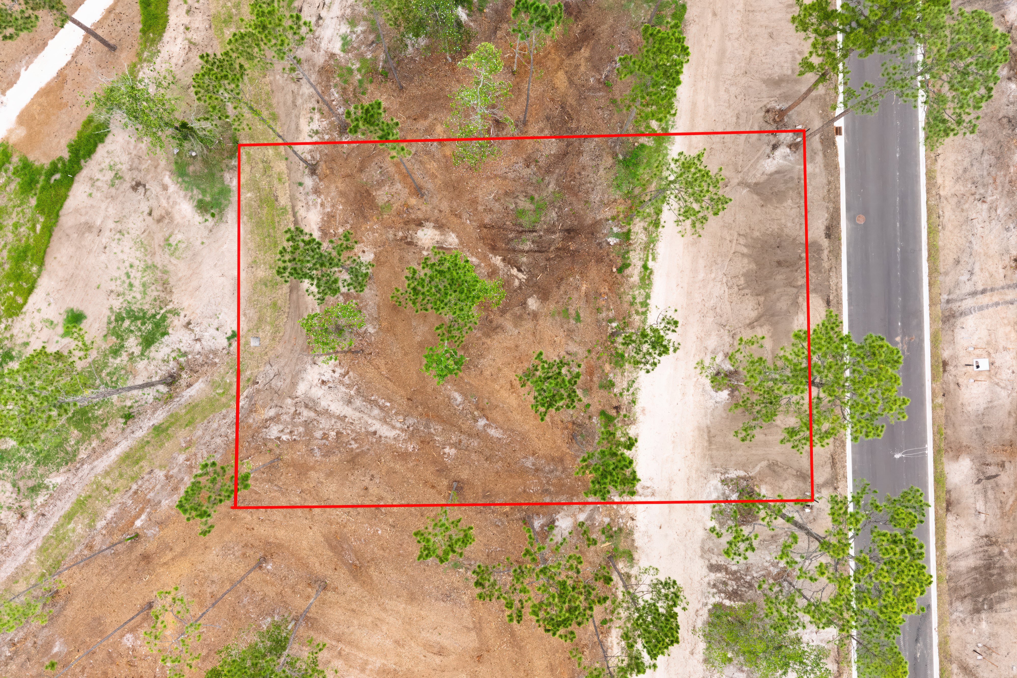 lot 54 image 3