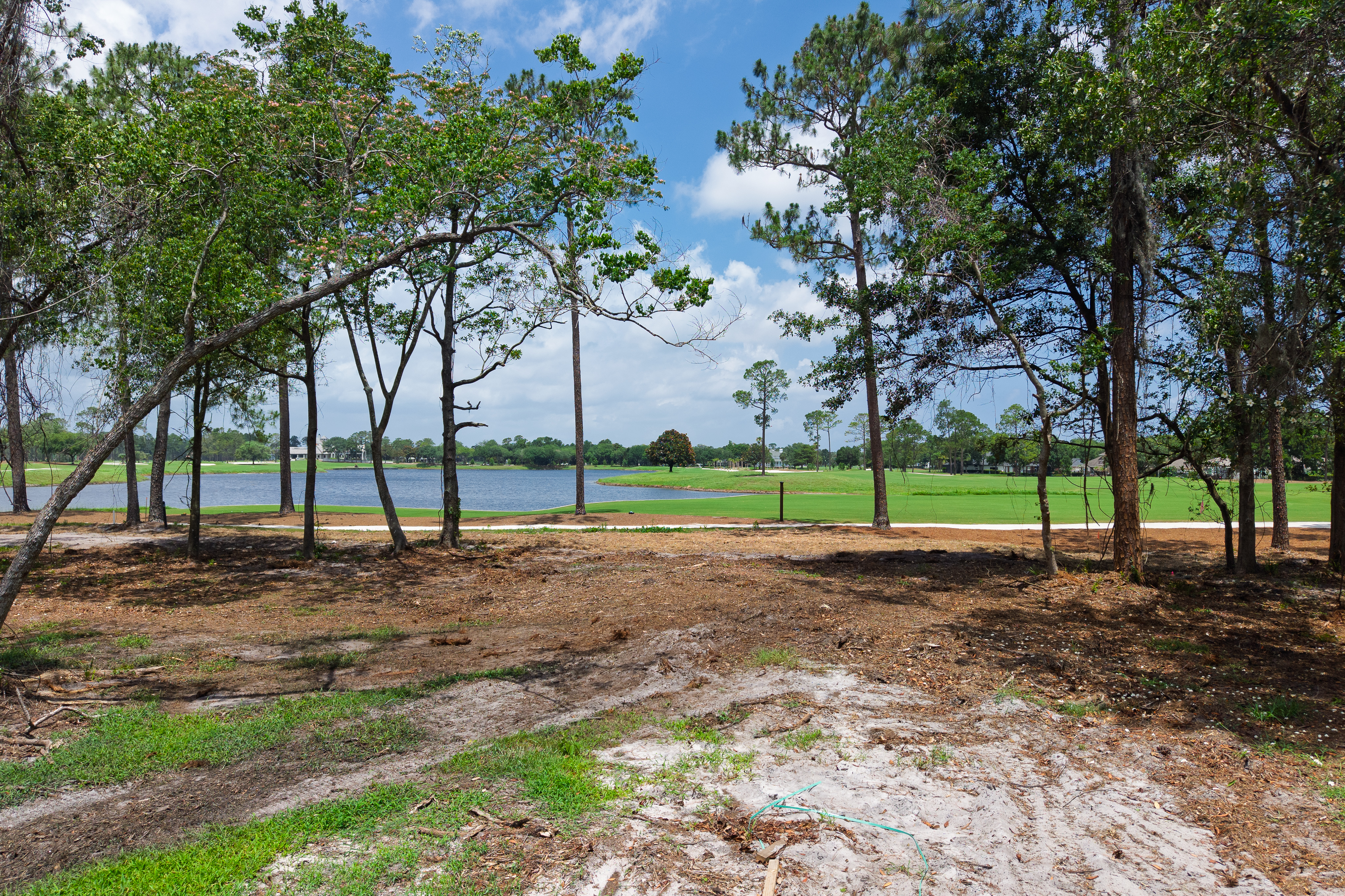 lot 49 image 3