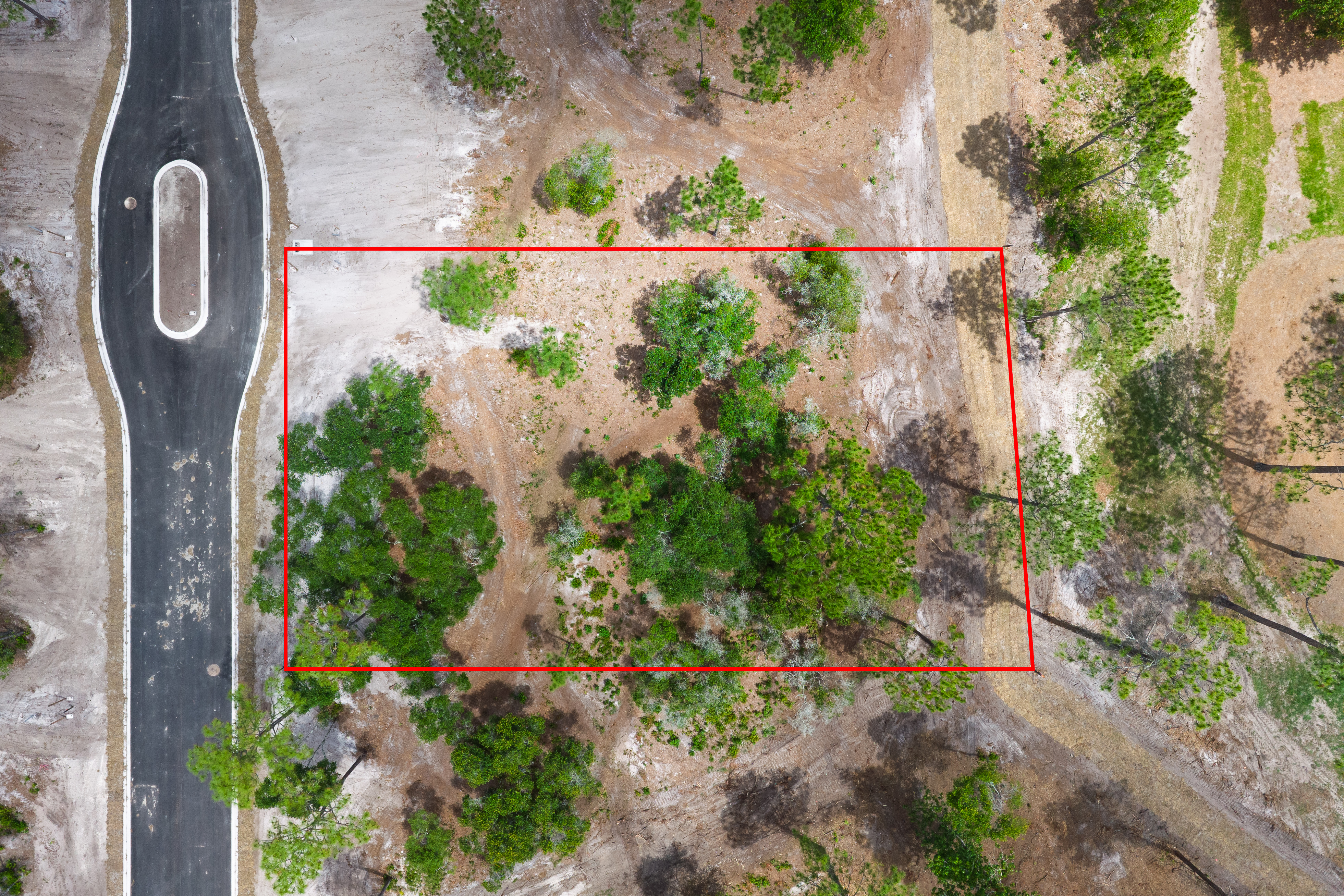 lot 58 image 5