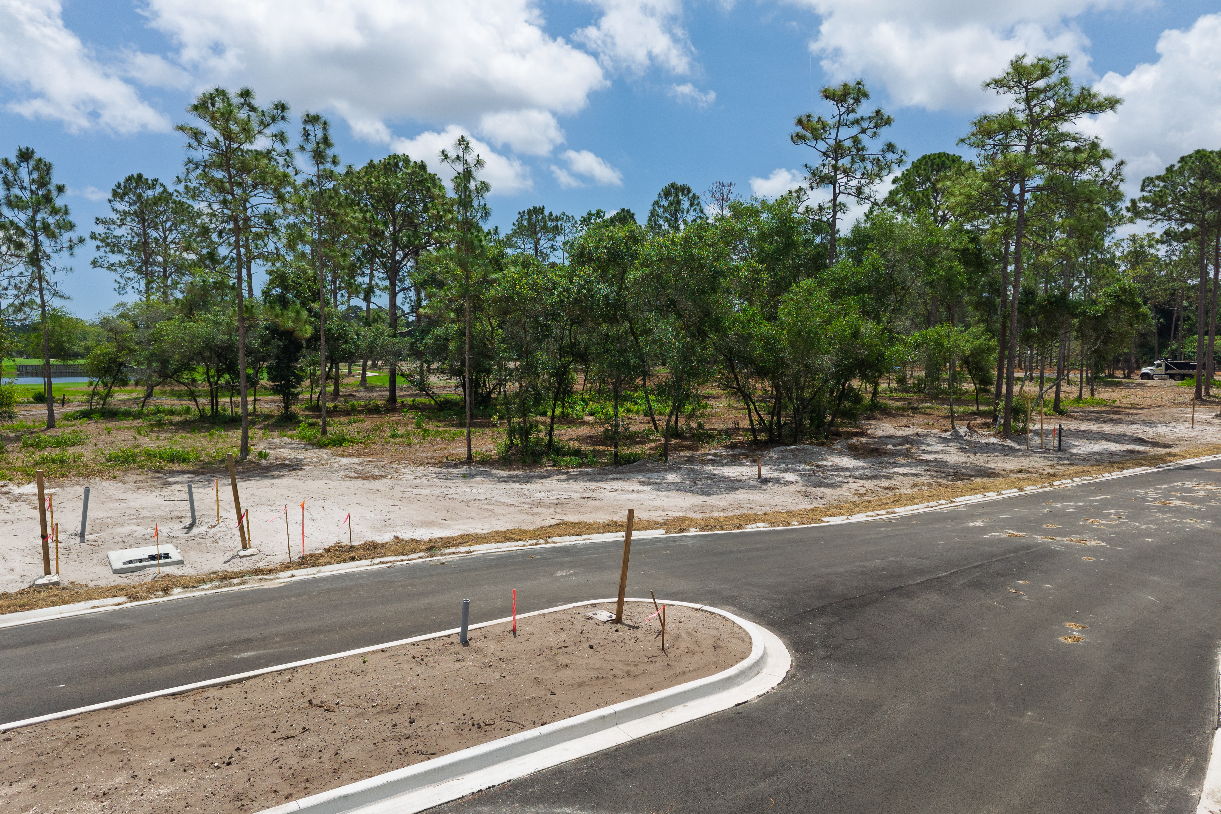 lot 58 image 4