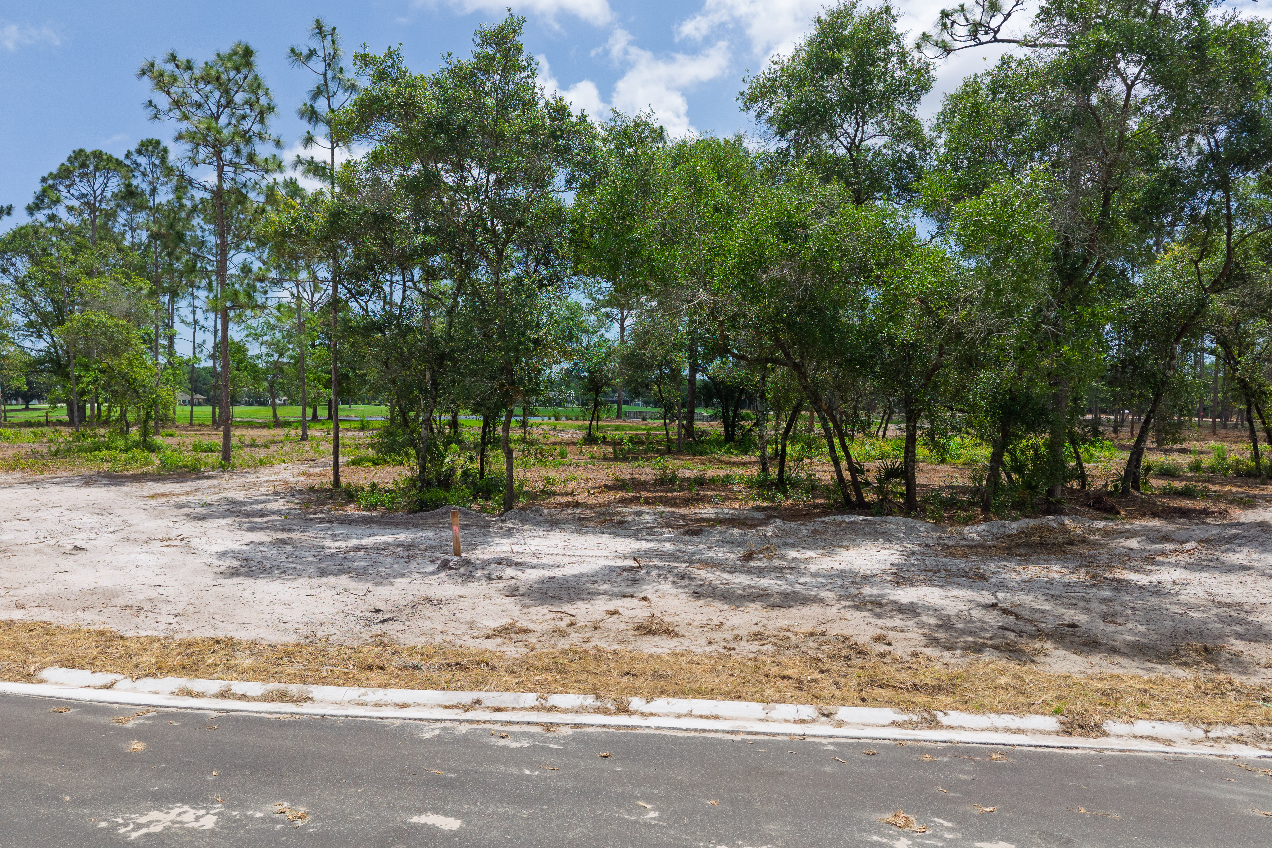 lot 58 image 3