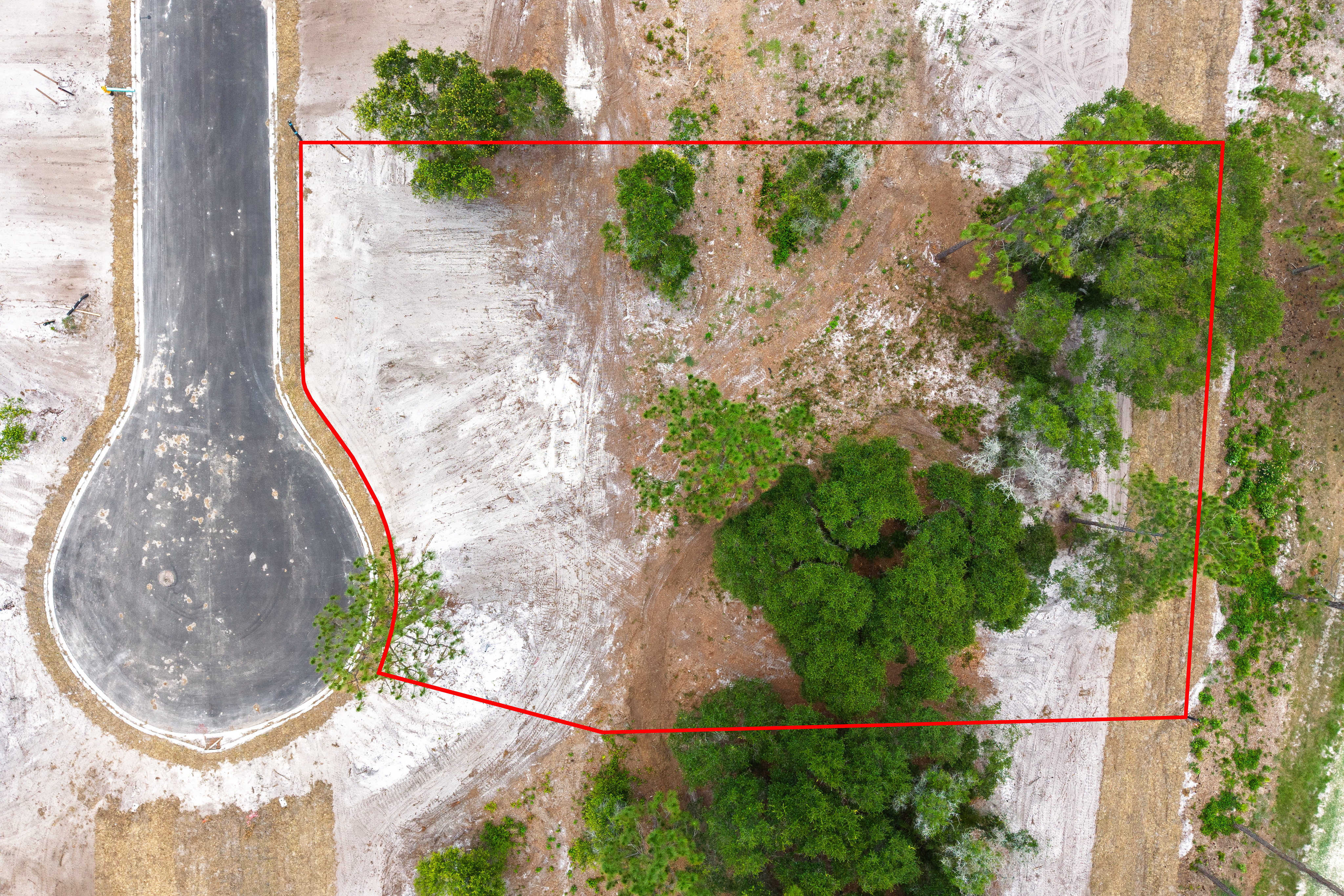 lot 63 image 5