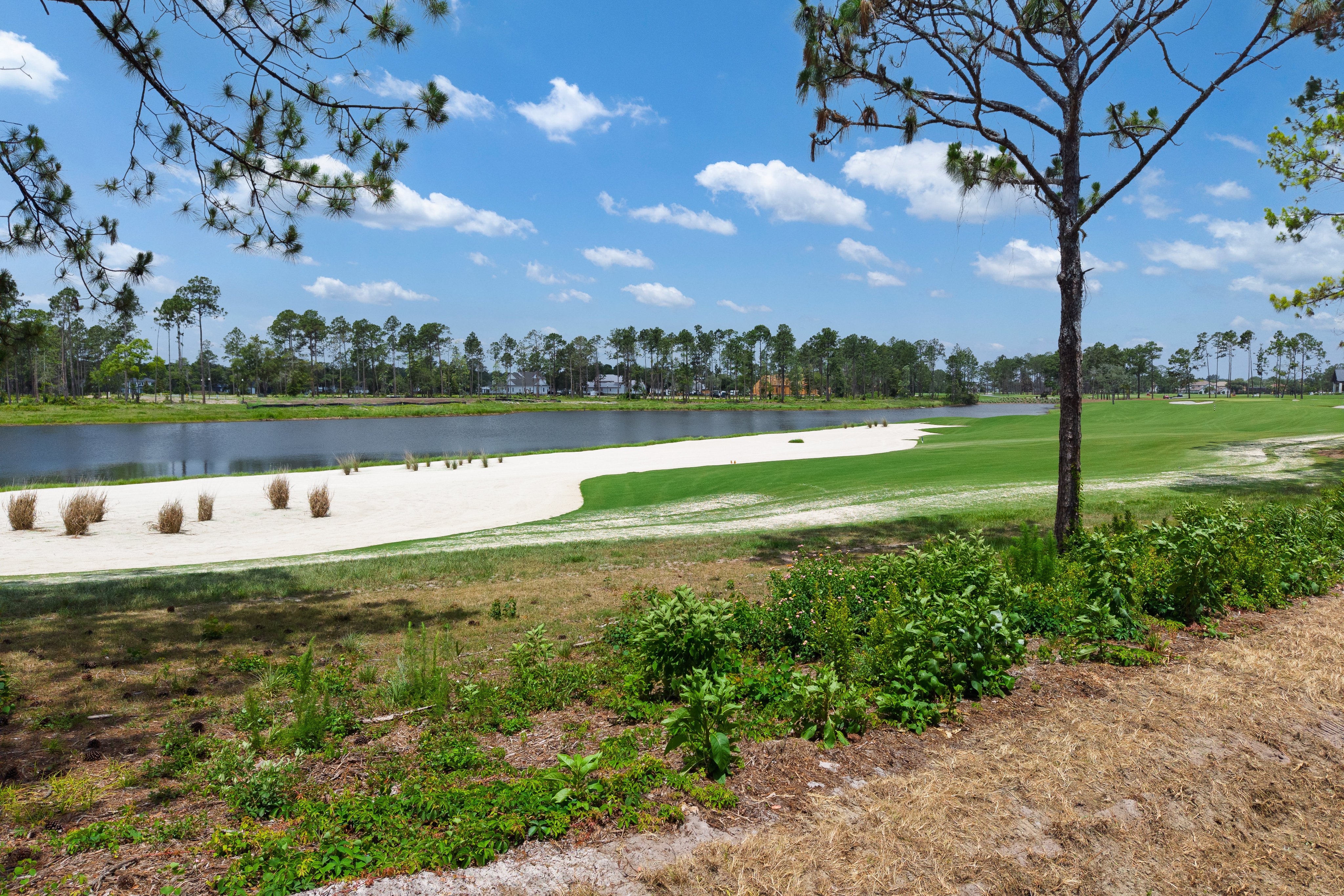 lot 63 image 3