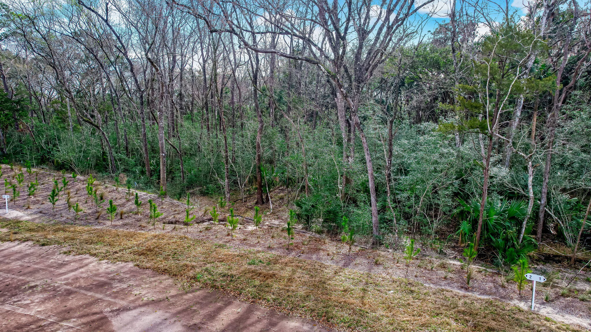 lot 1 image 3