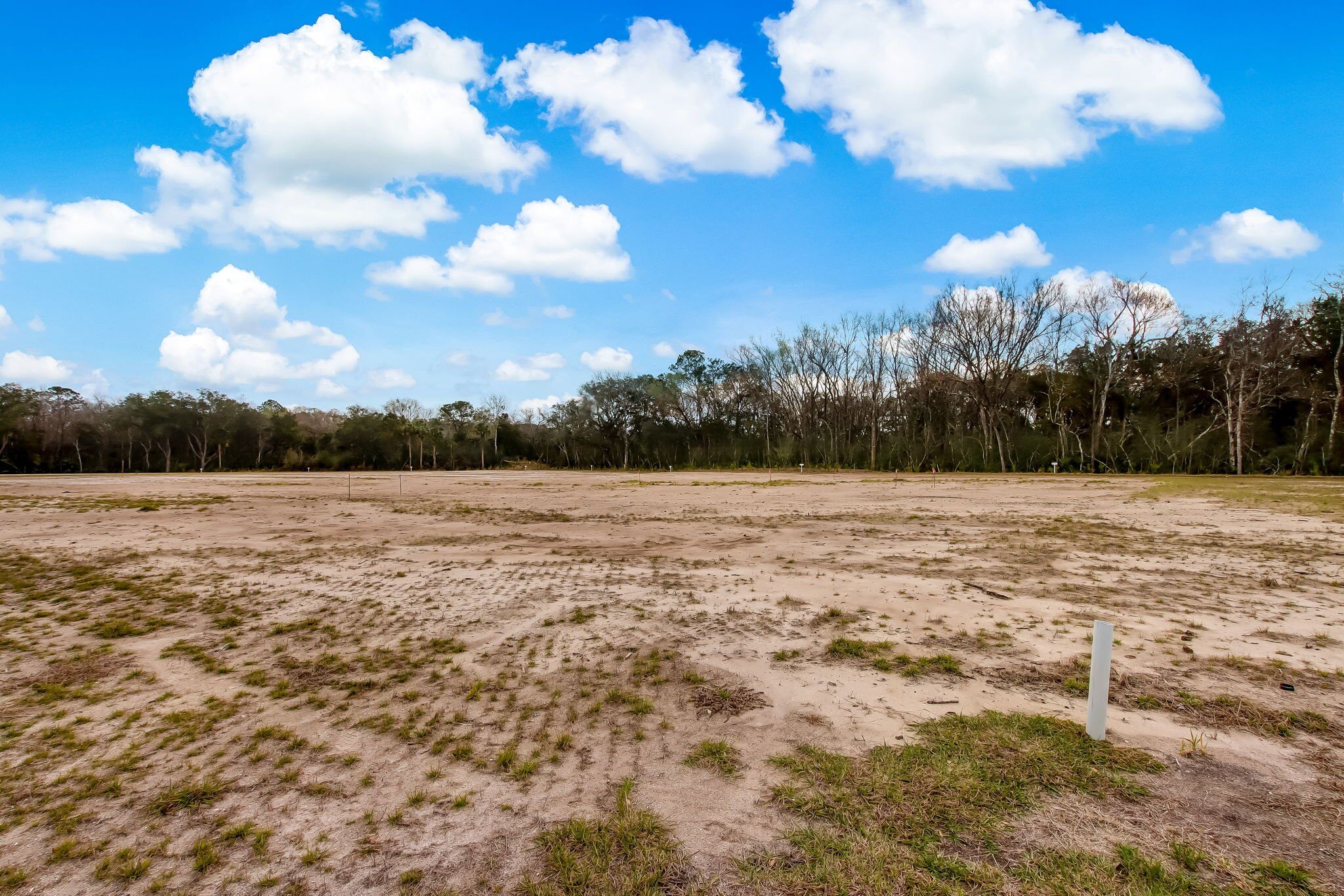 lot 1 image 5