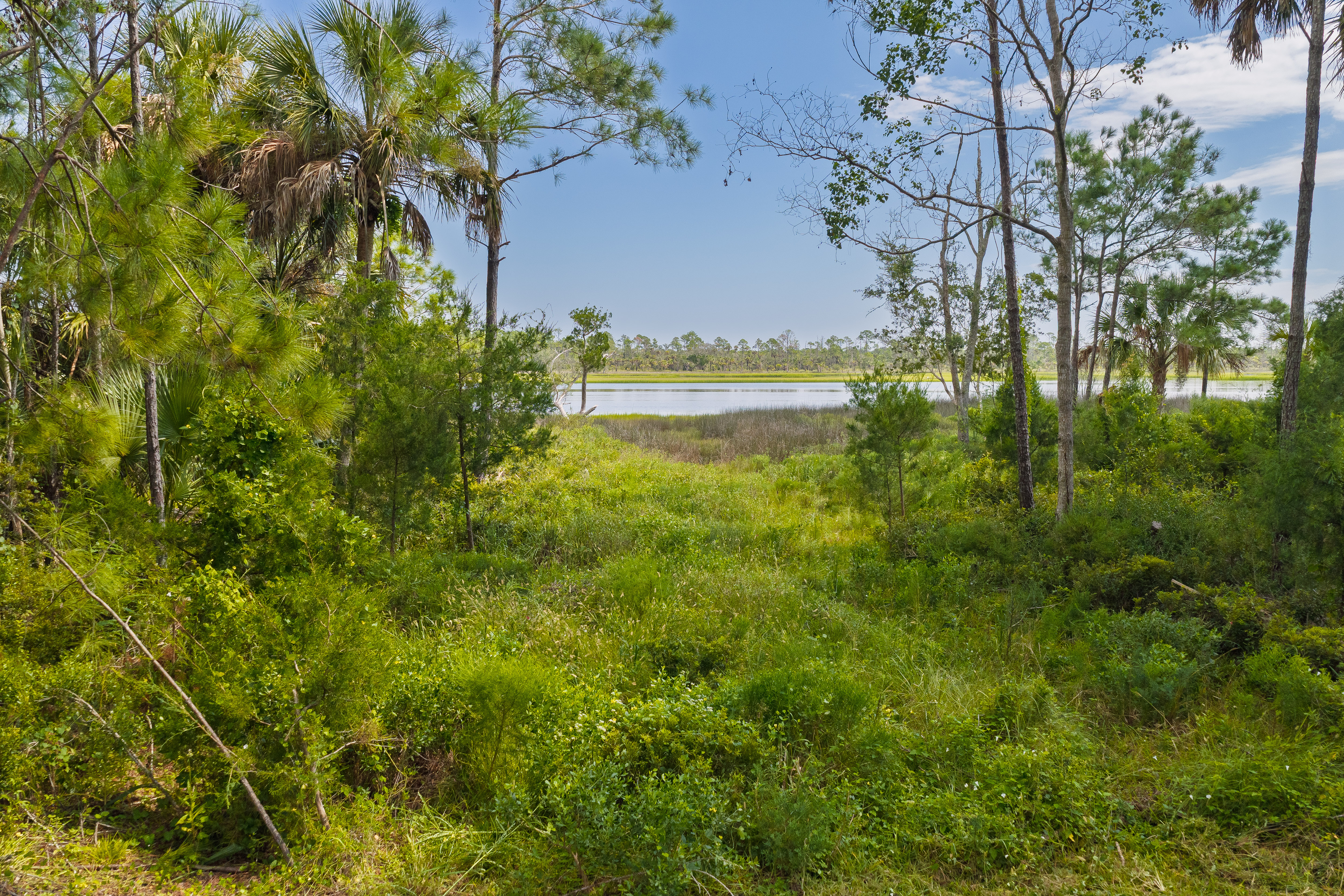 lot 8 image 3