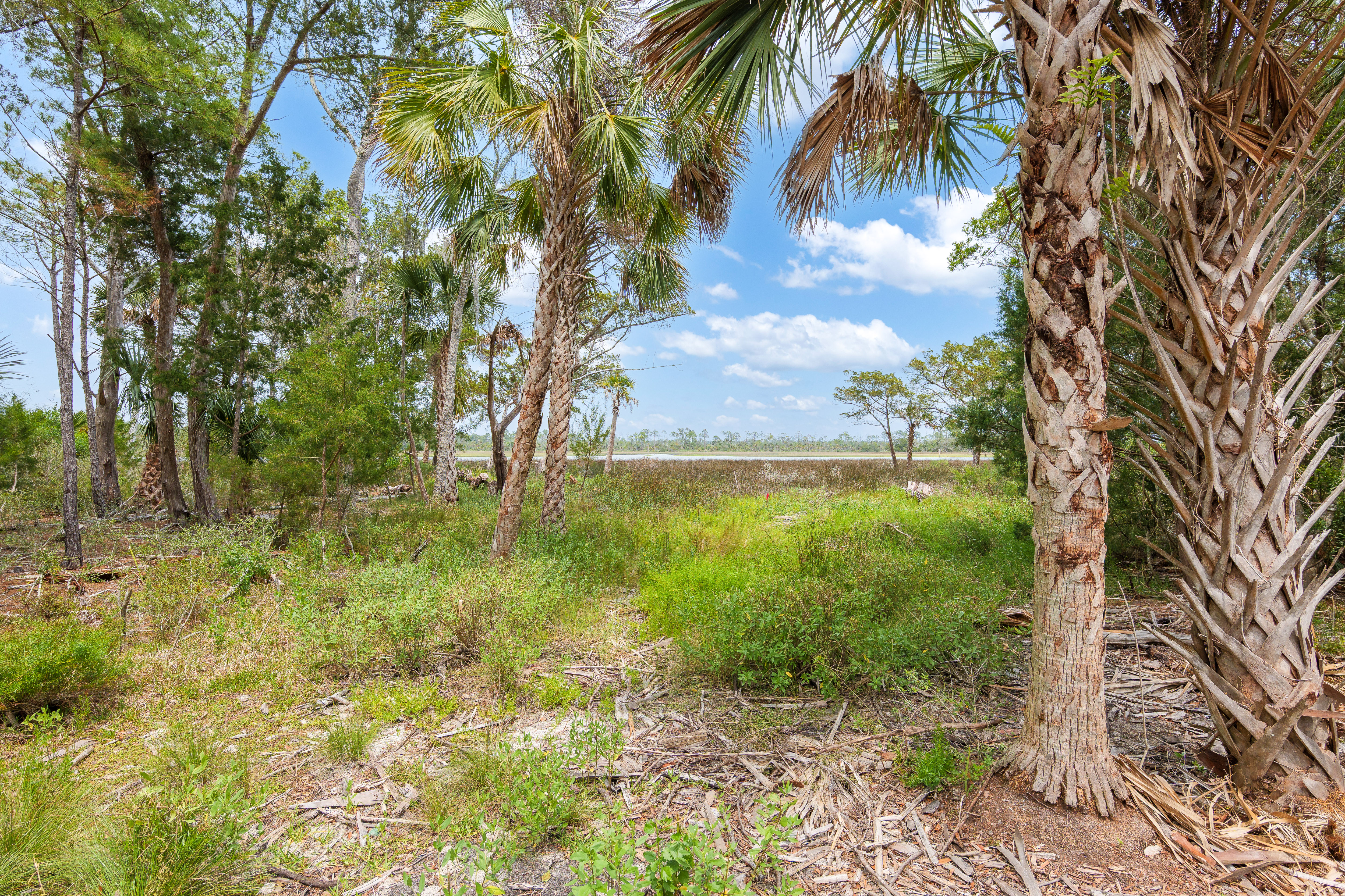 lot 11 image 2
