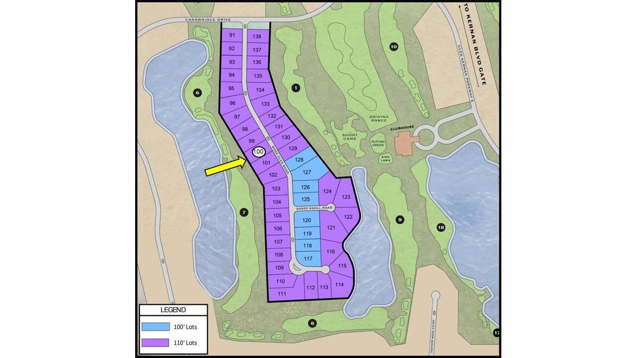 lot 100 image 2